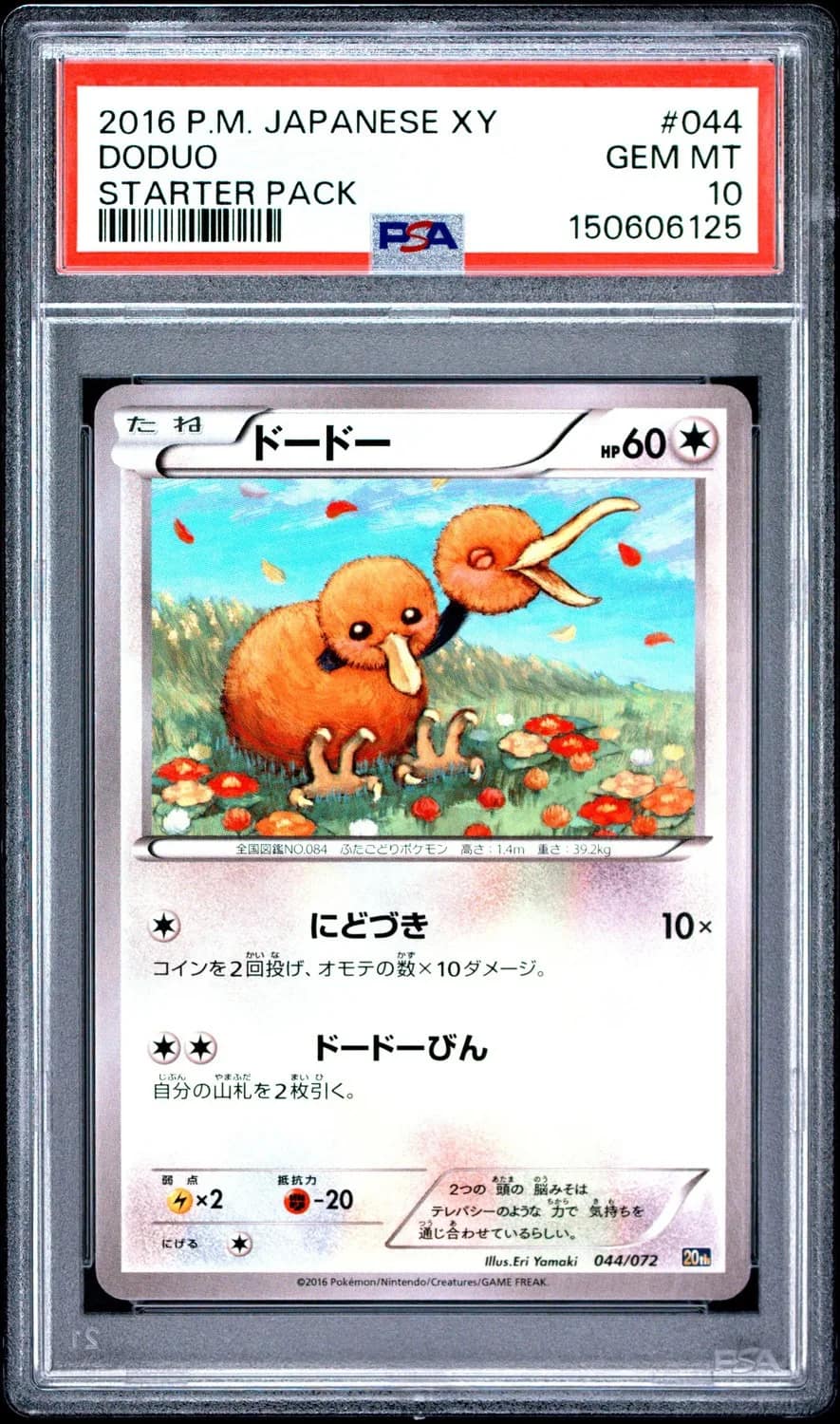 Doduo
