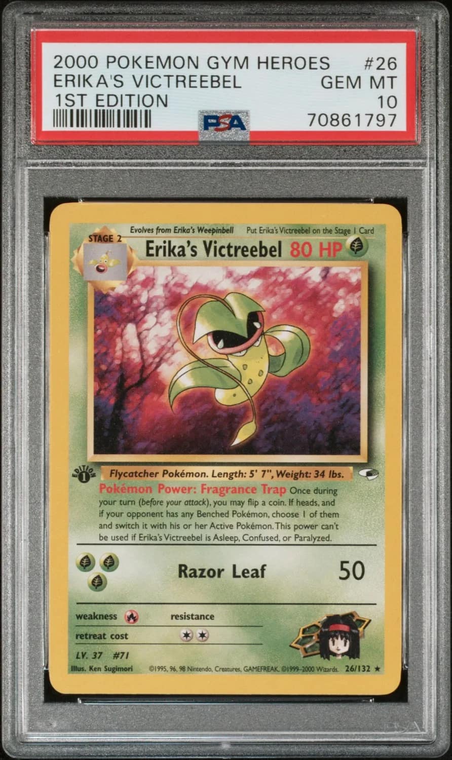 Erika'S Victreebel