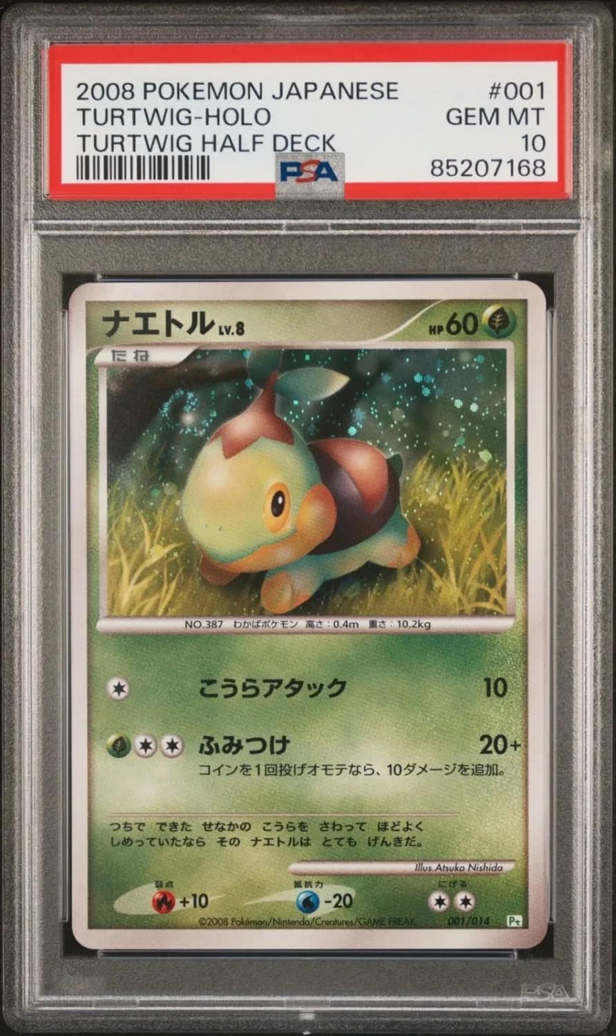 Turtwig