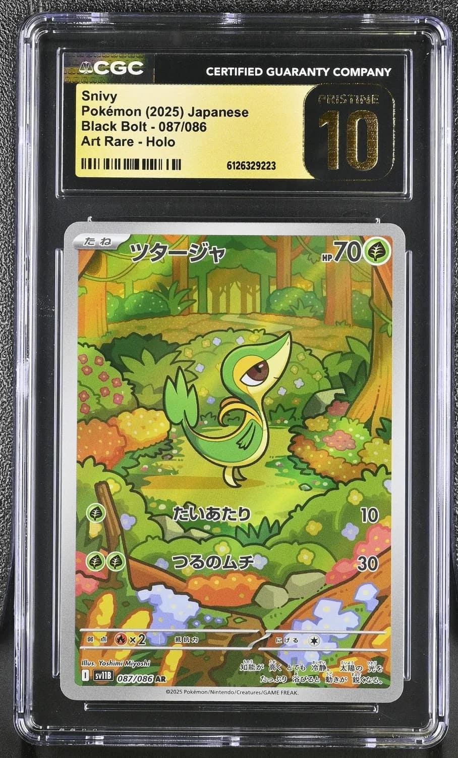 Snivy