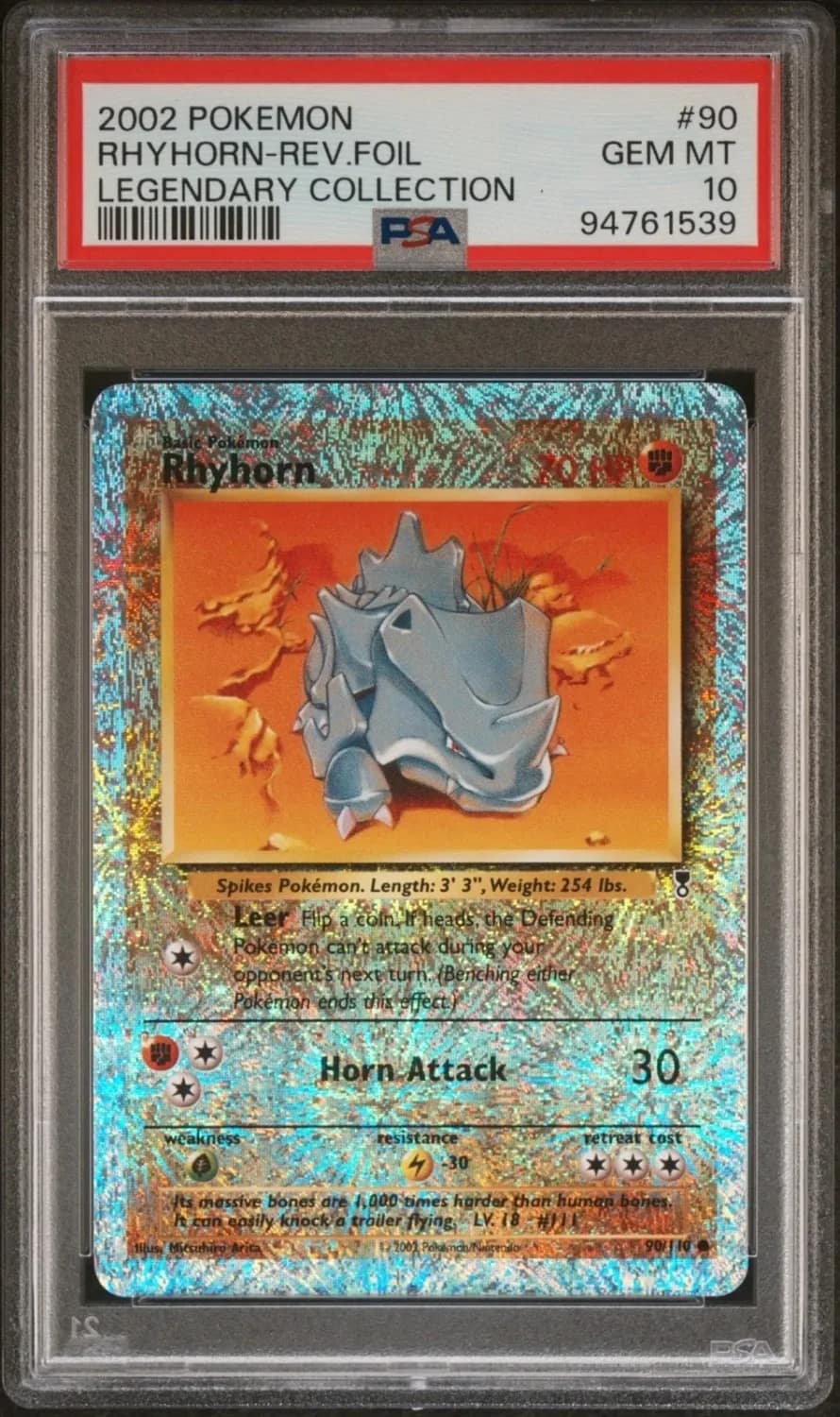 Rhyhorn