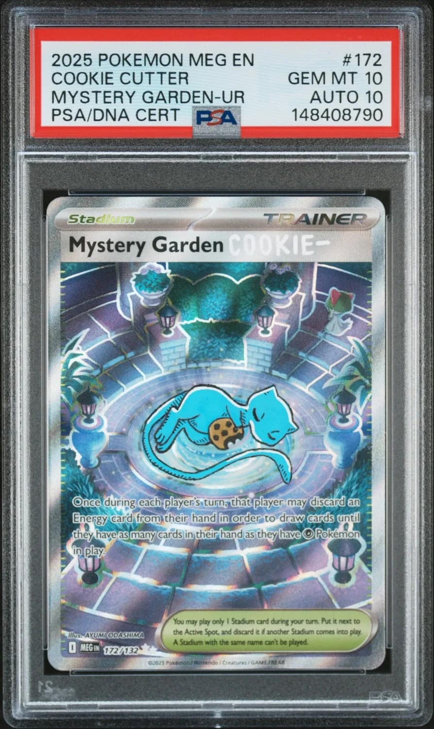 Mystery Garden
