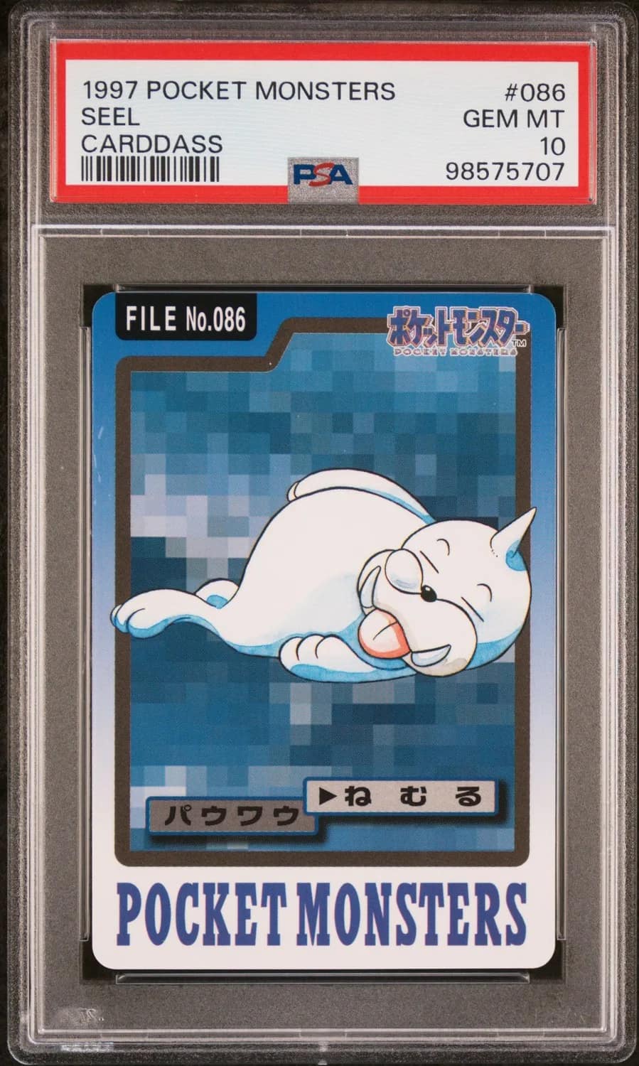 Seel