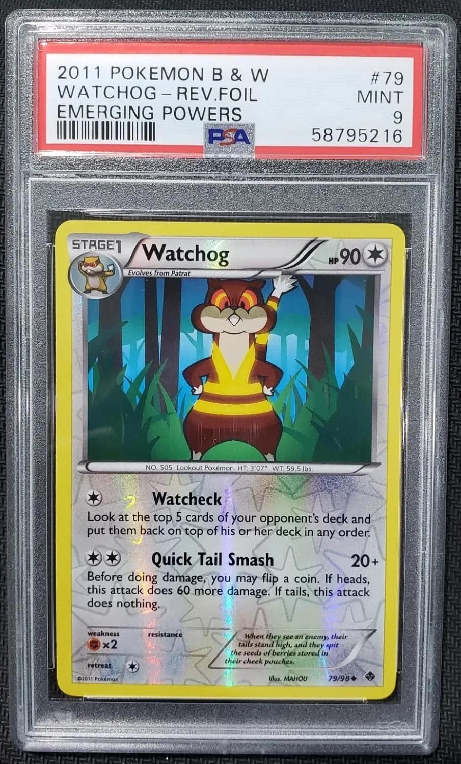 Watchog