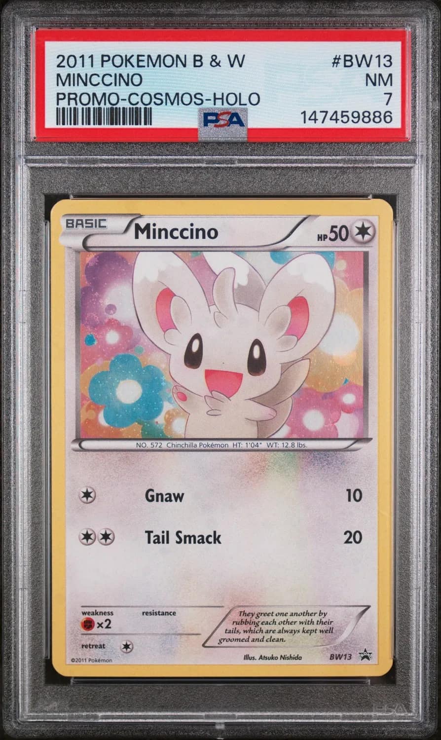 Minccino