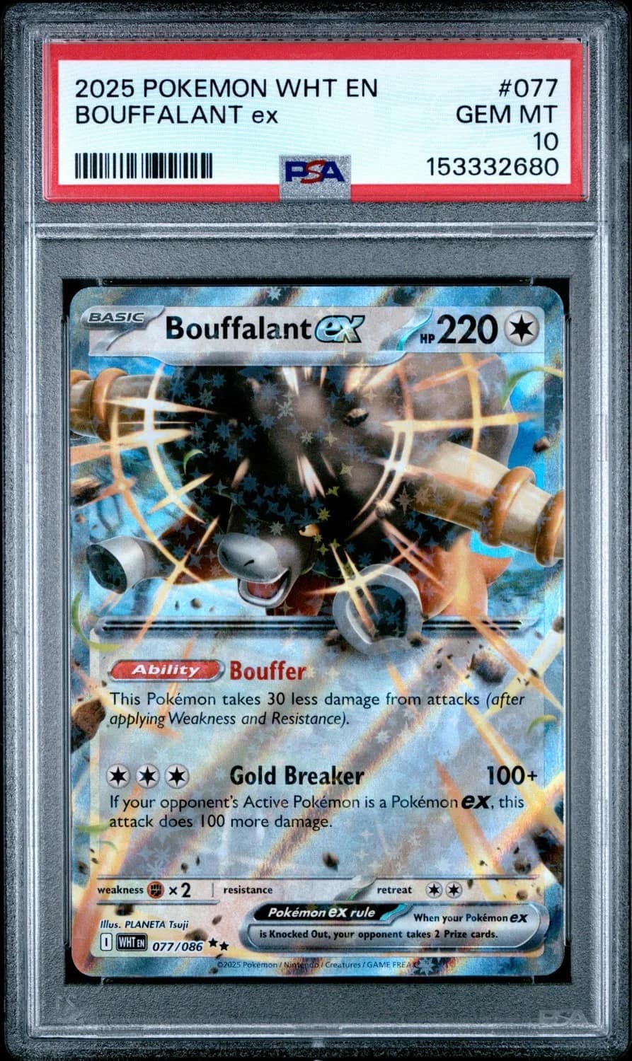 Bouffalant Ex