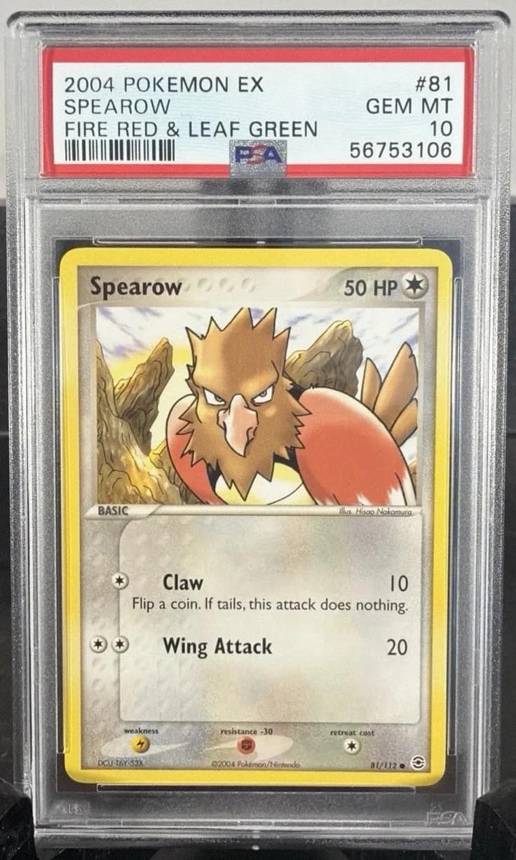 Spearow