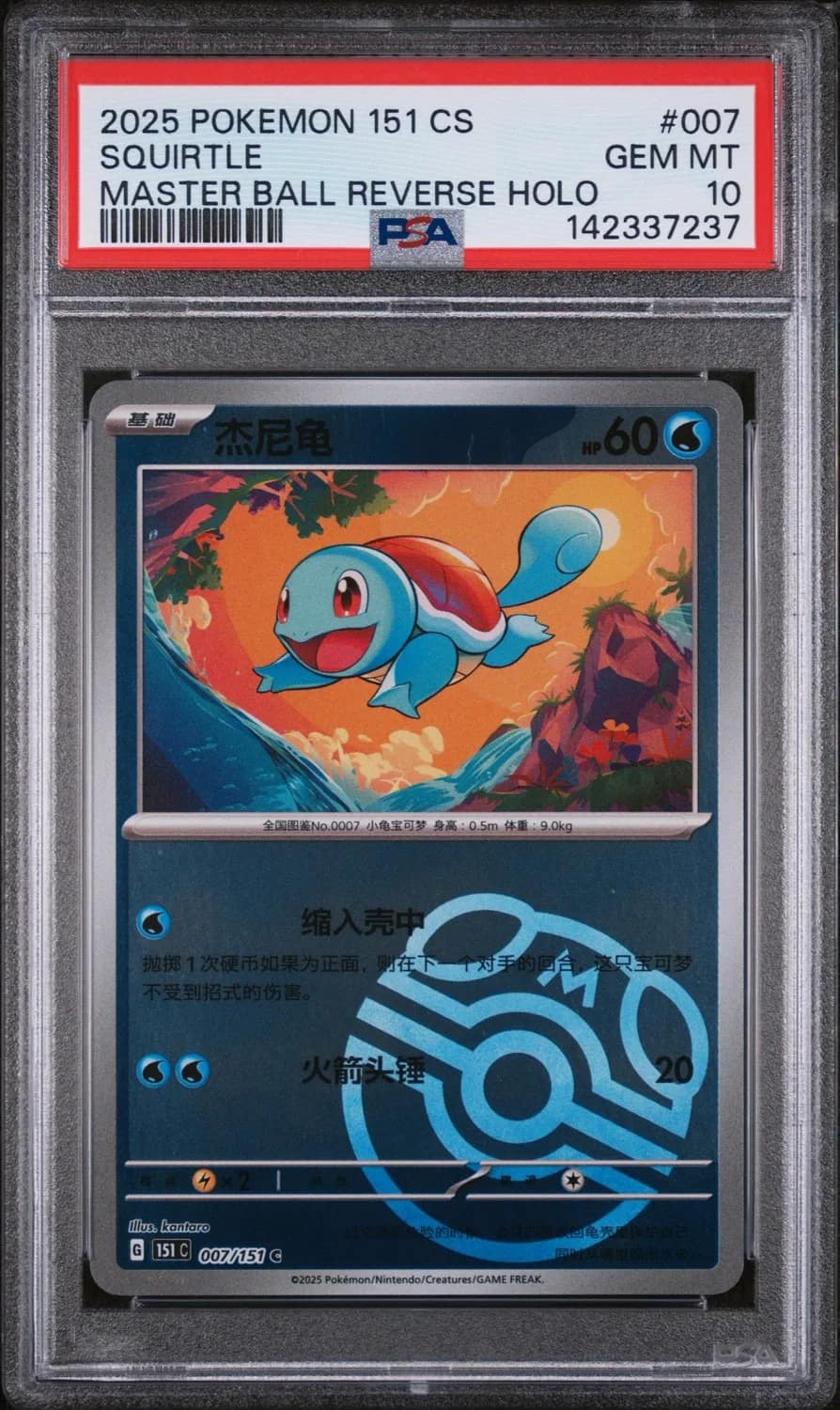 Squirtle