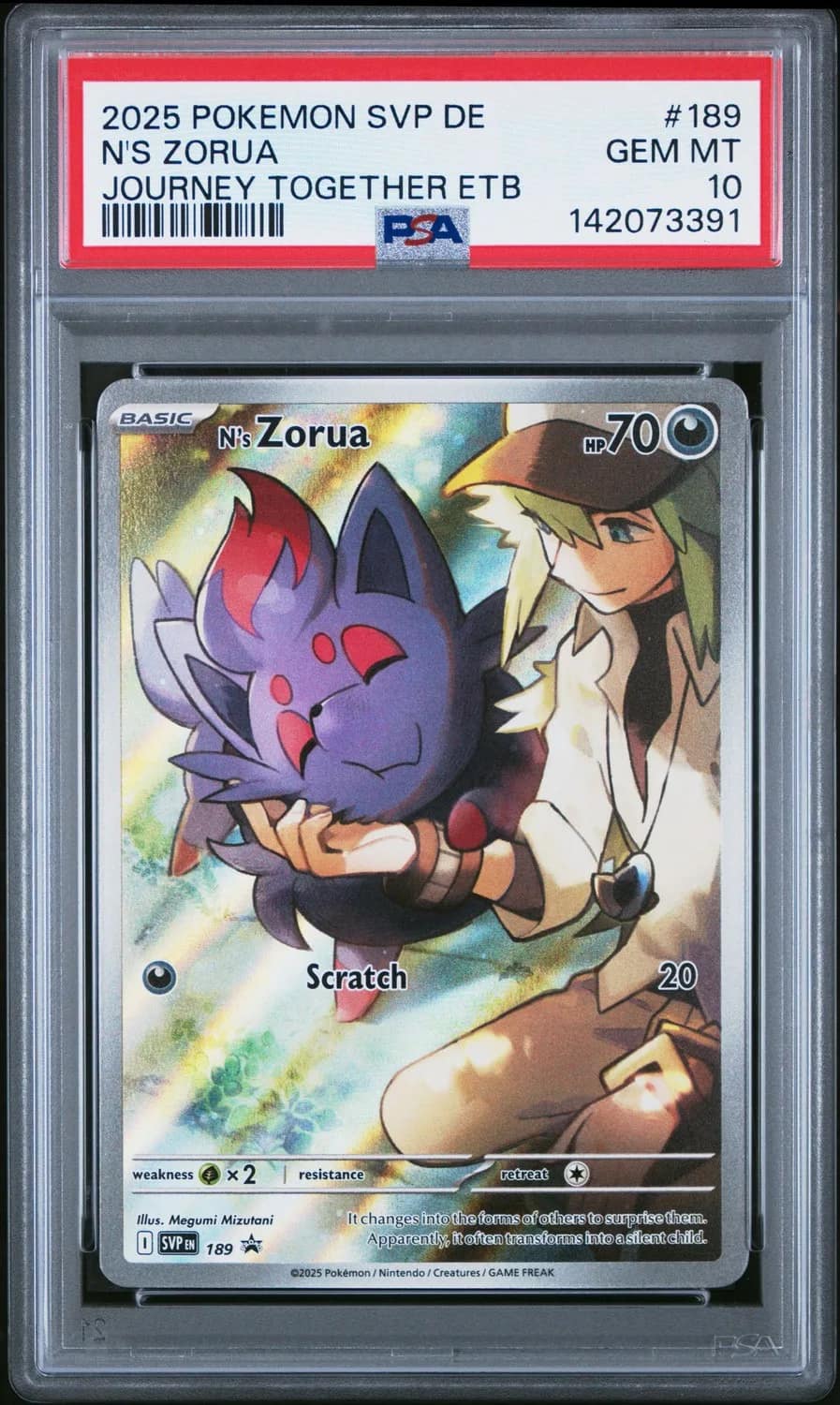 N'S Zorua