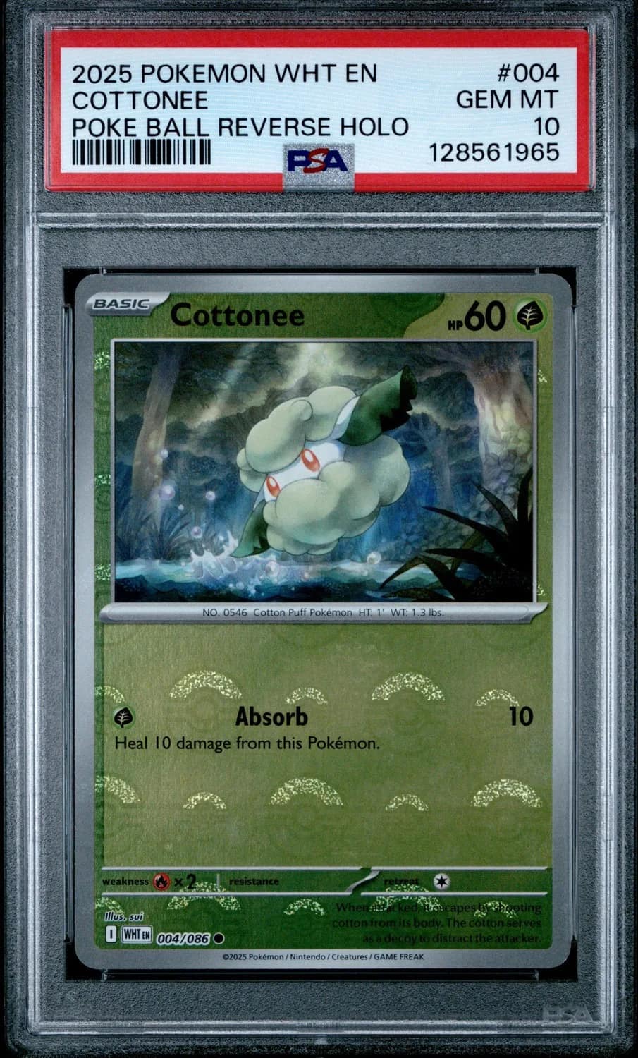 Cottonee