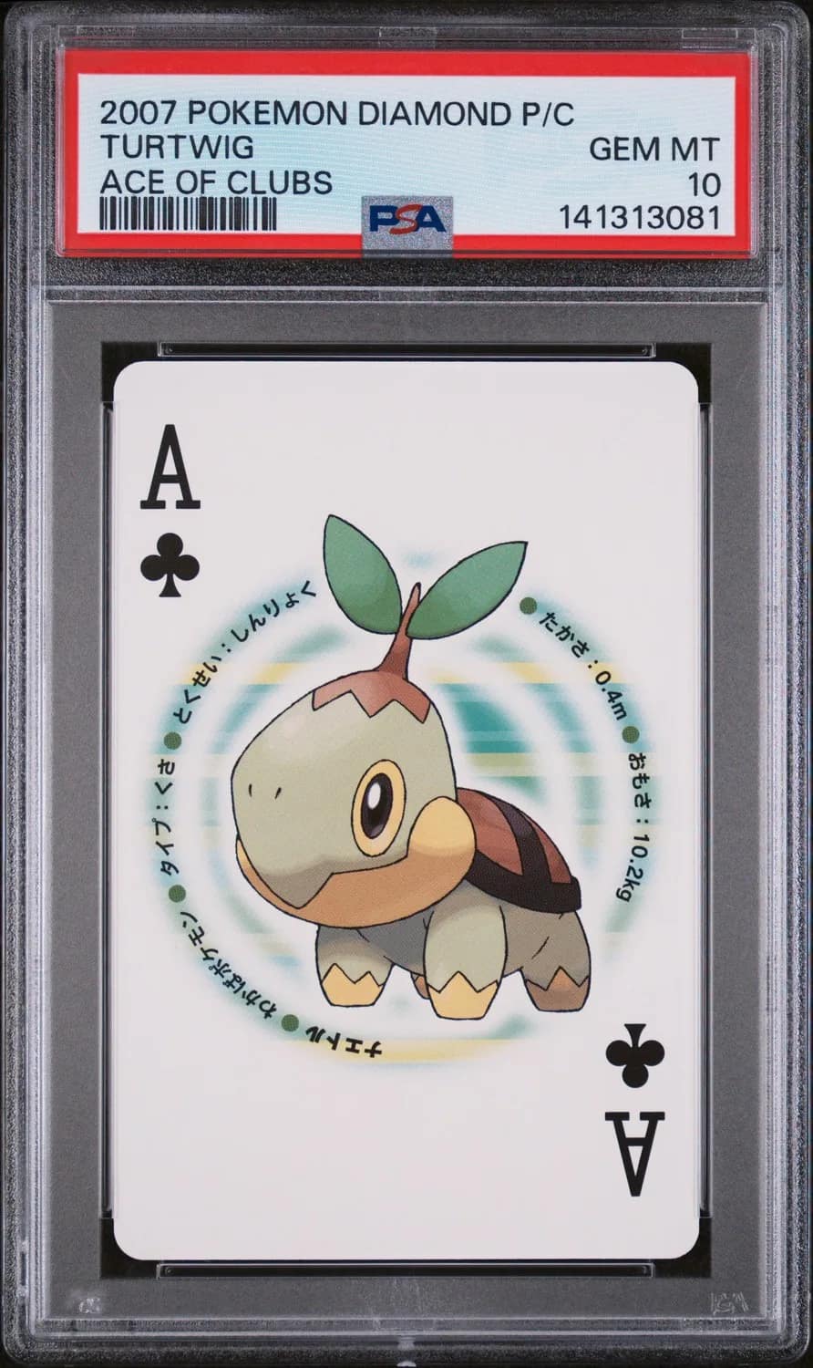 Turtwig