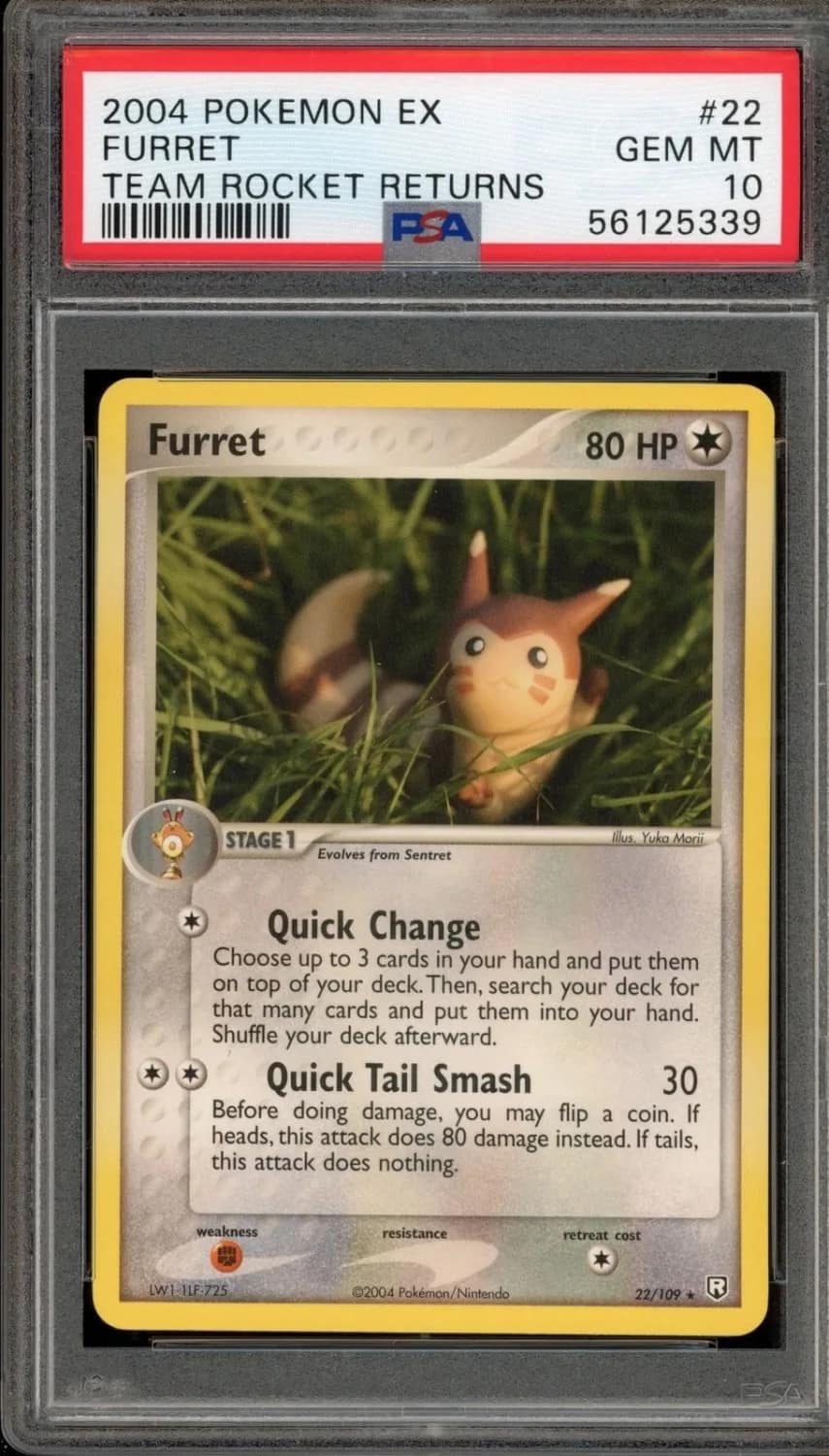 Furret