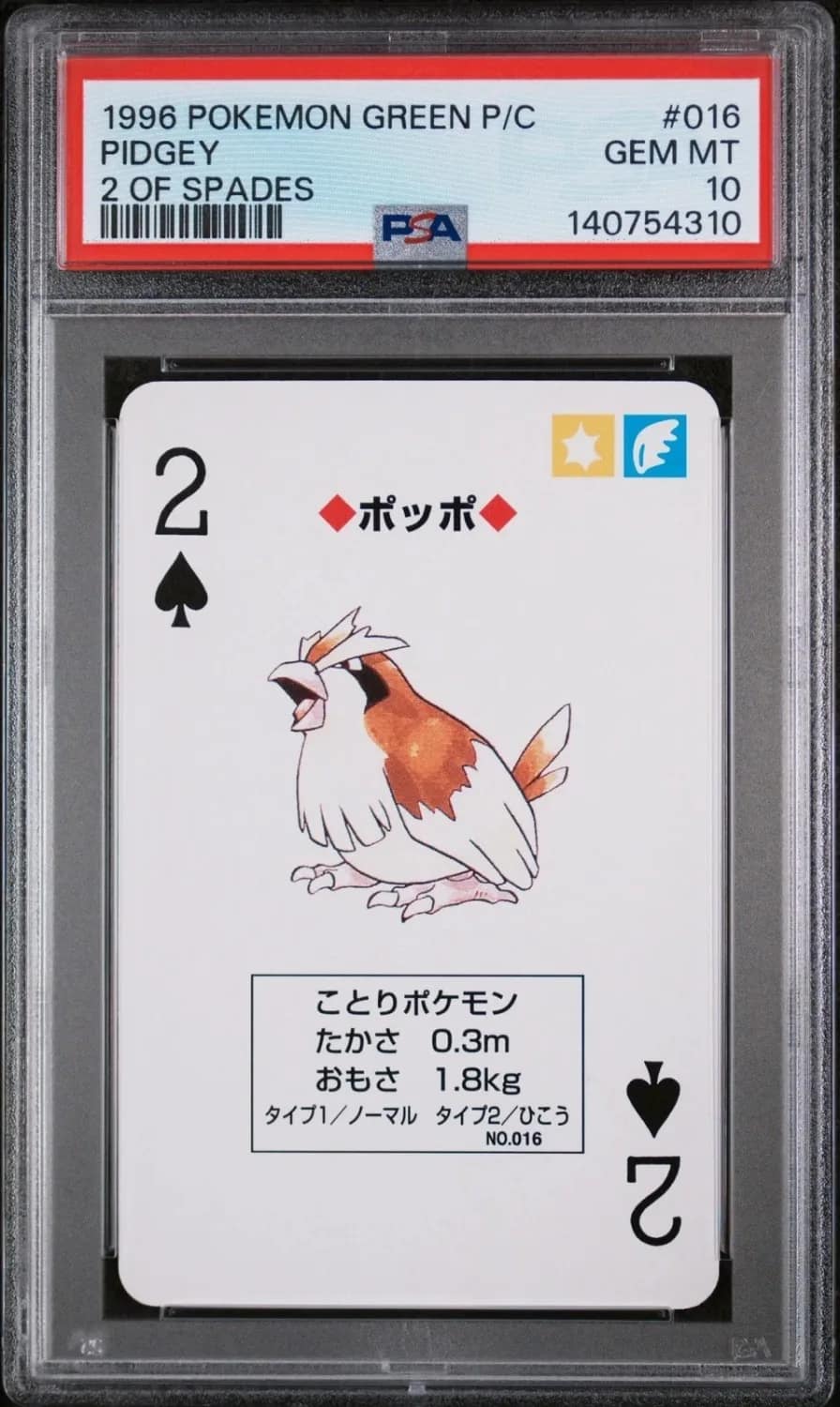 Pidgey