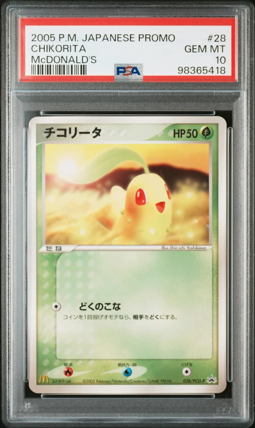 Chikorita
