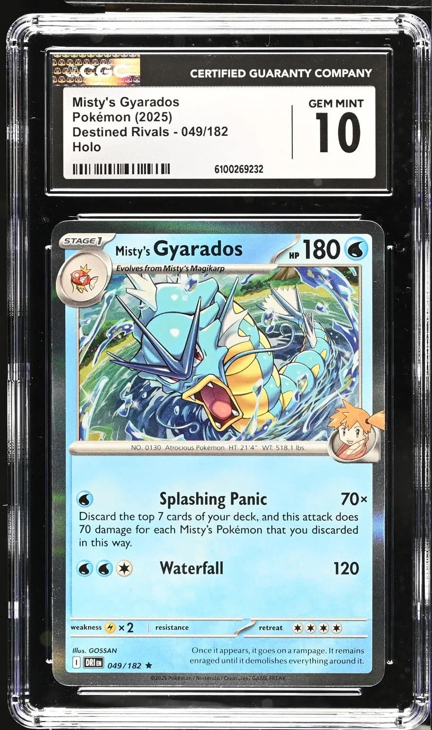 Misty'S Gyarados