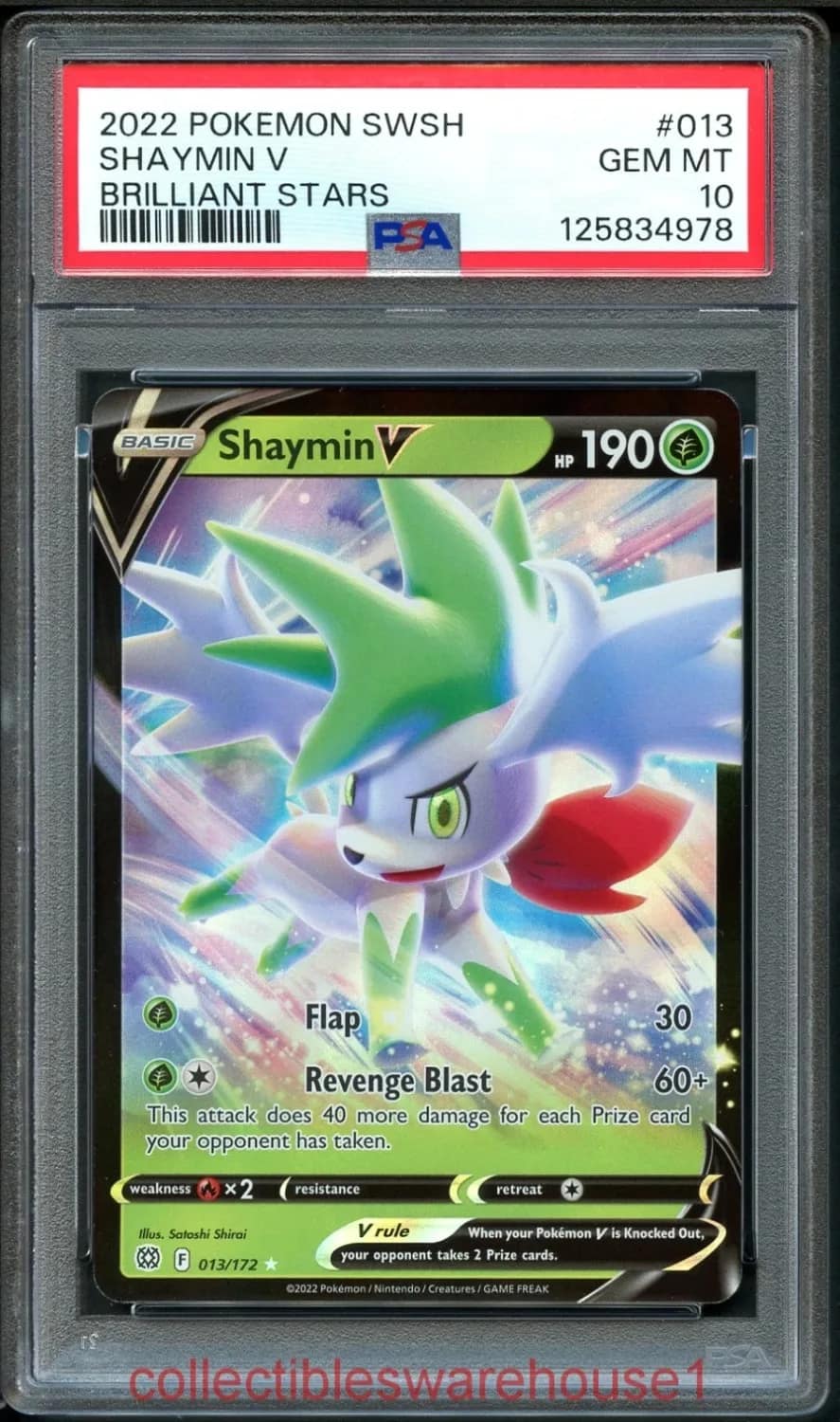 Shaymin V