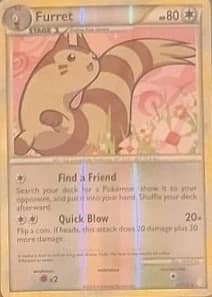Furret
