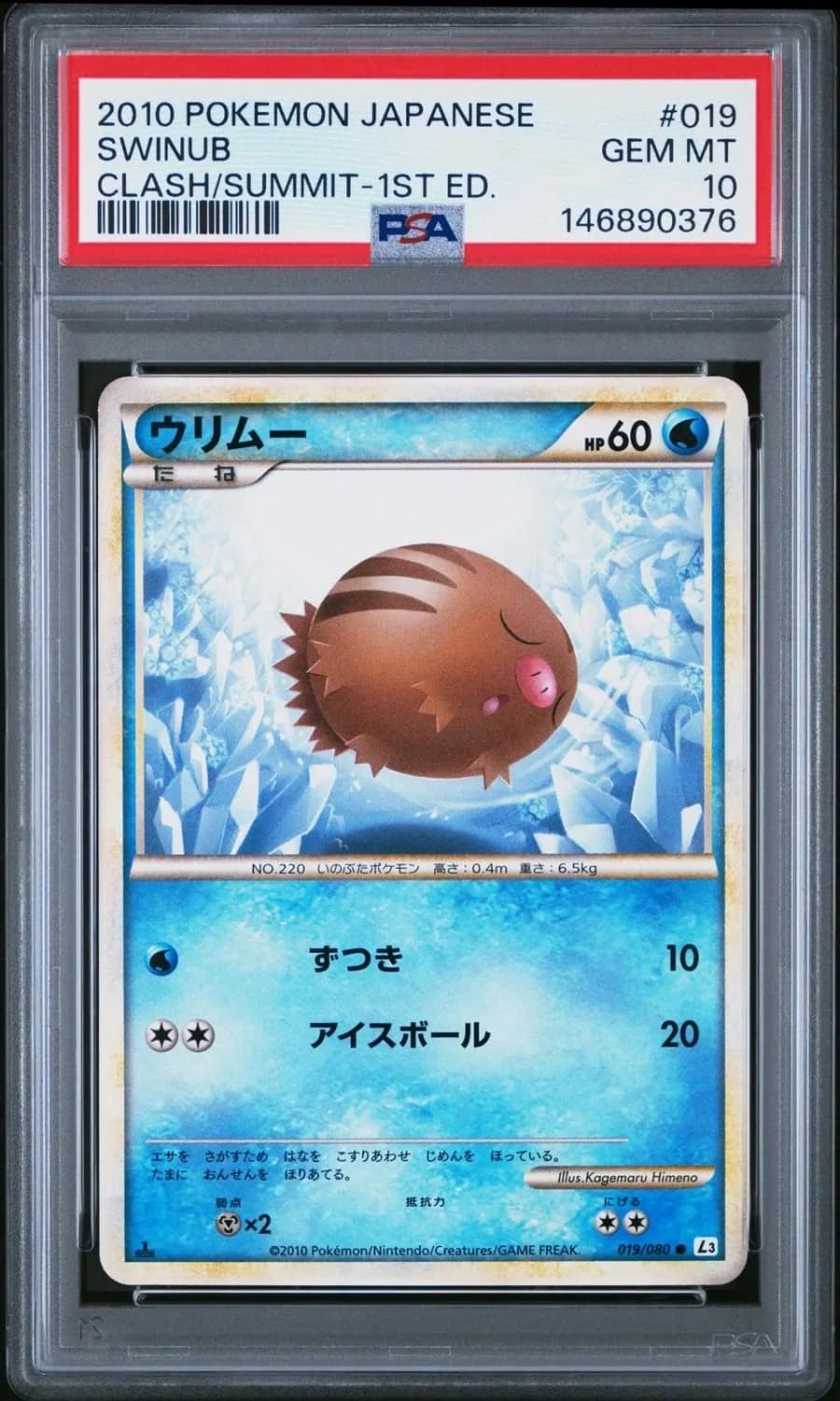 Swinub