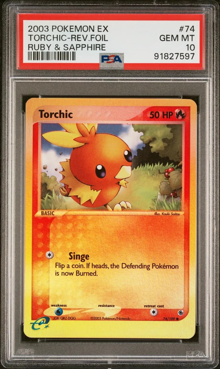 Torchic