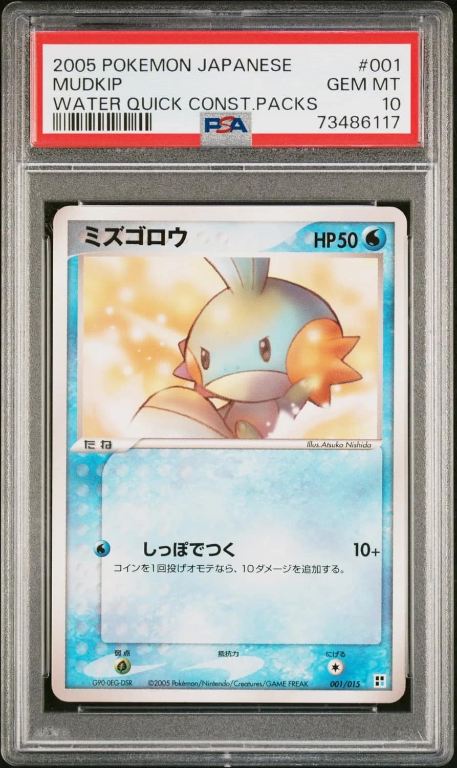 Mudkip