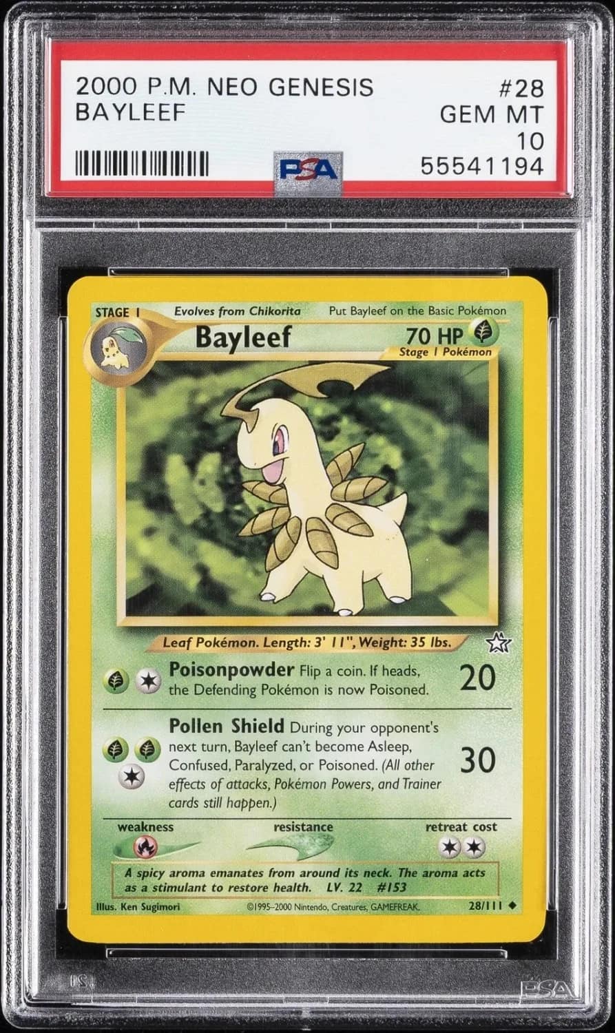 Bayleef
