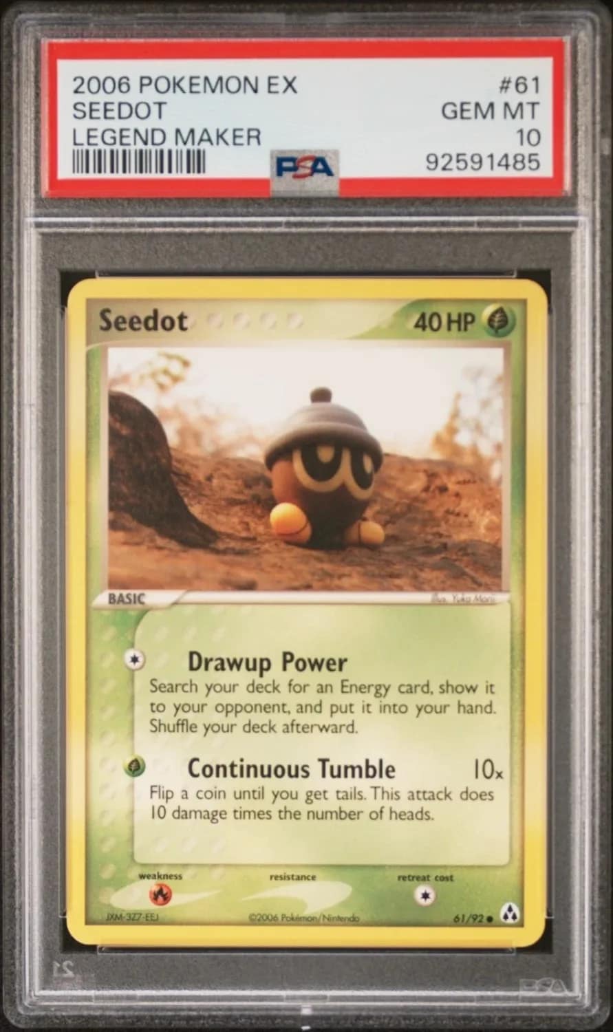 Seedot