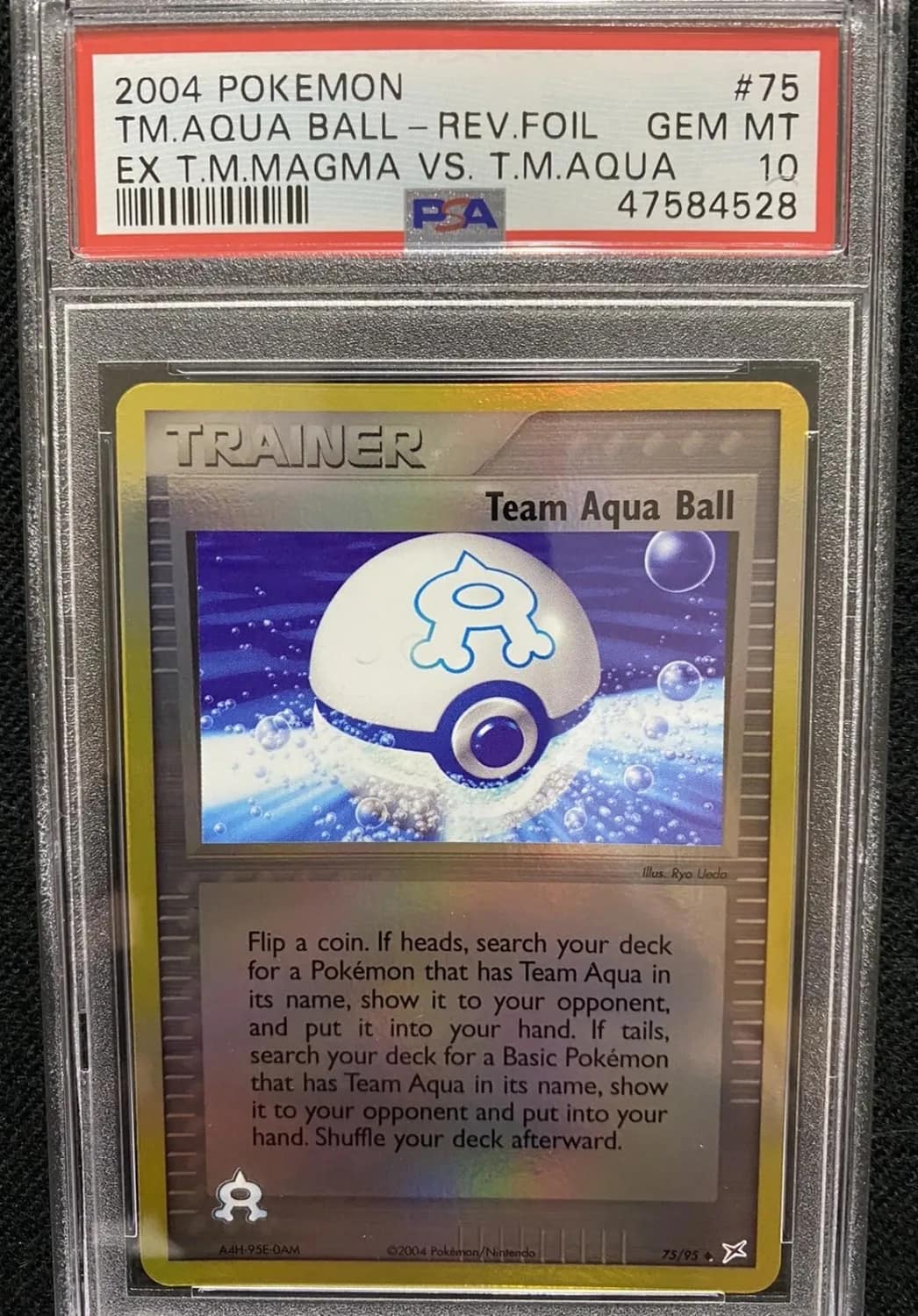 Team Aqua Ball