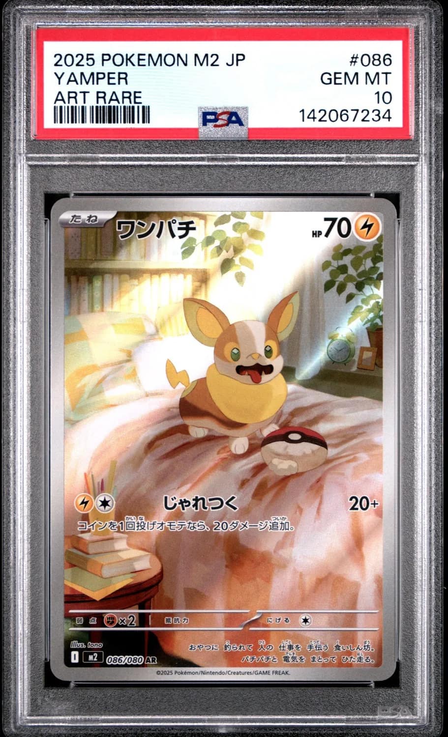 Yamper