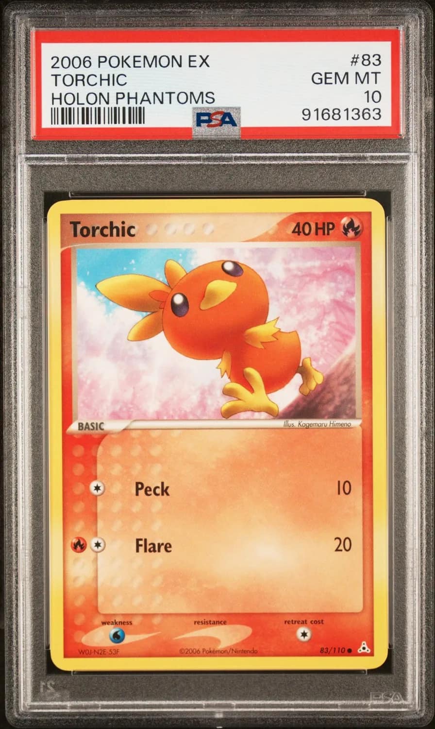 Torchic
