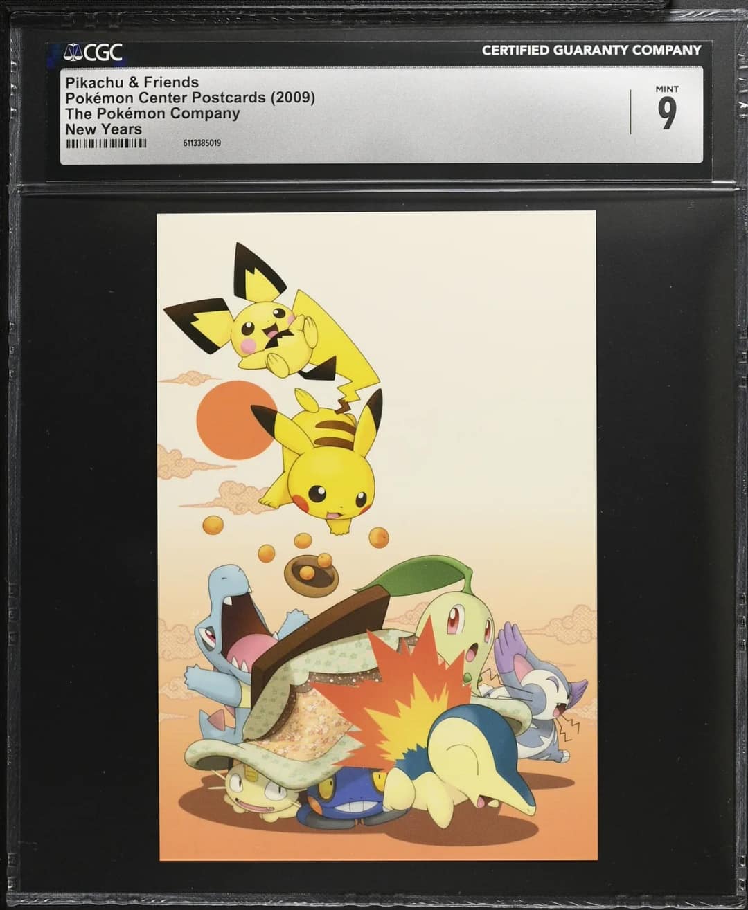 Pikachu & Friends