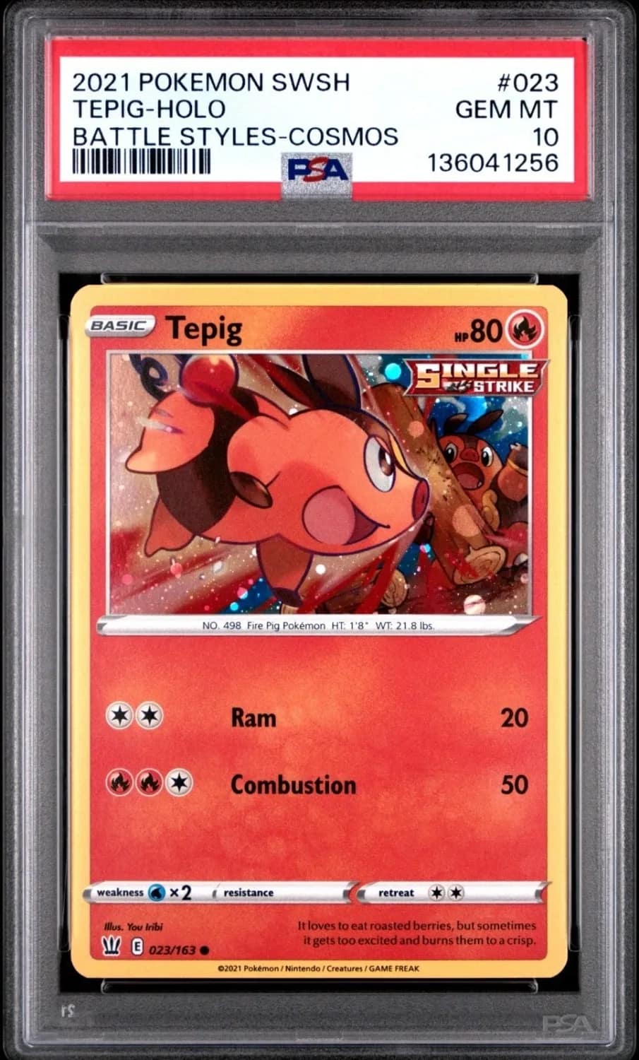 Tepig