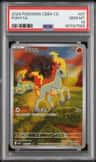 Ponyta