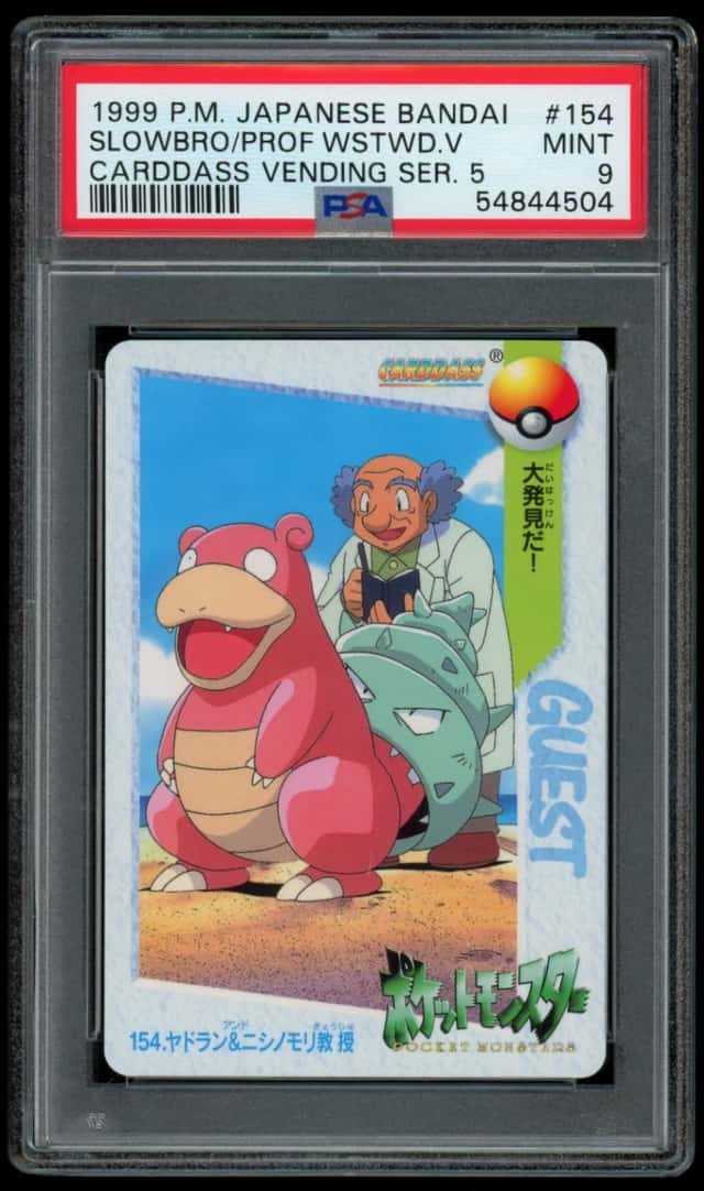 SLOWBRO/PROF.WSTWD.V