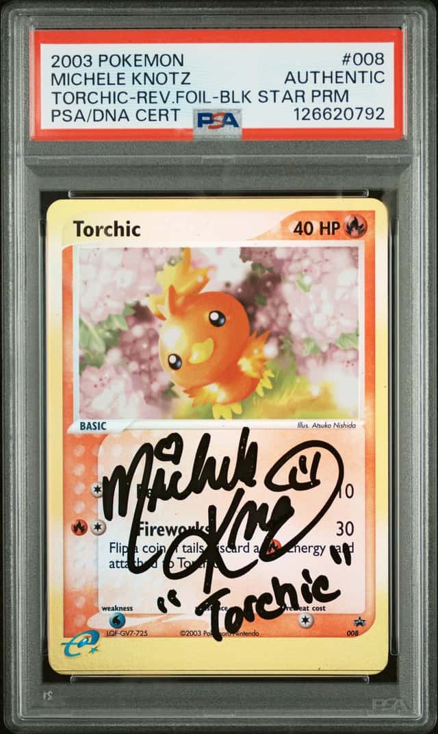 Torchic