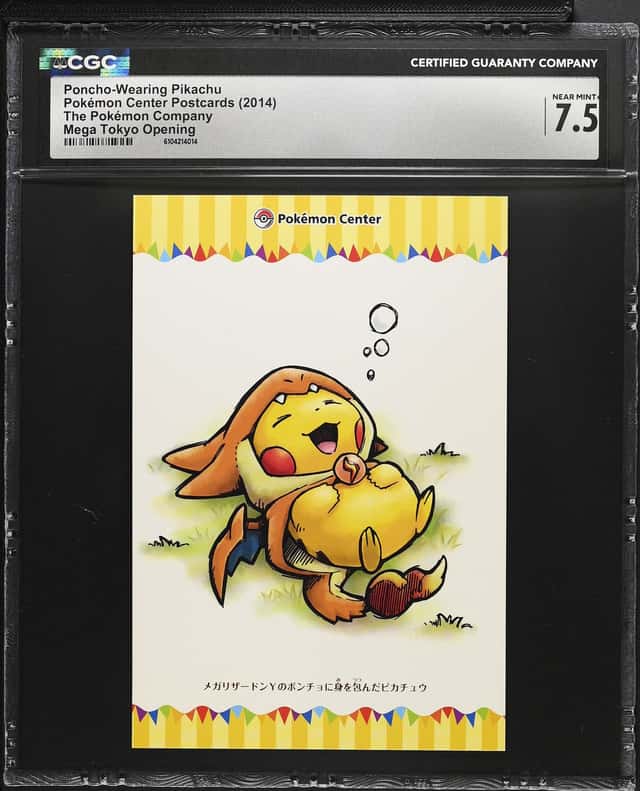 Poncho-Wearing Pikachu