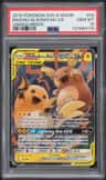 Raichu & Alolan Raichu Gx