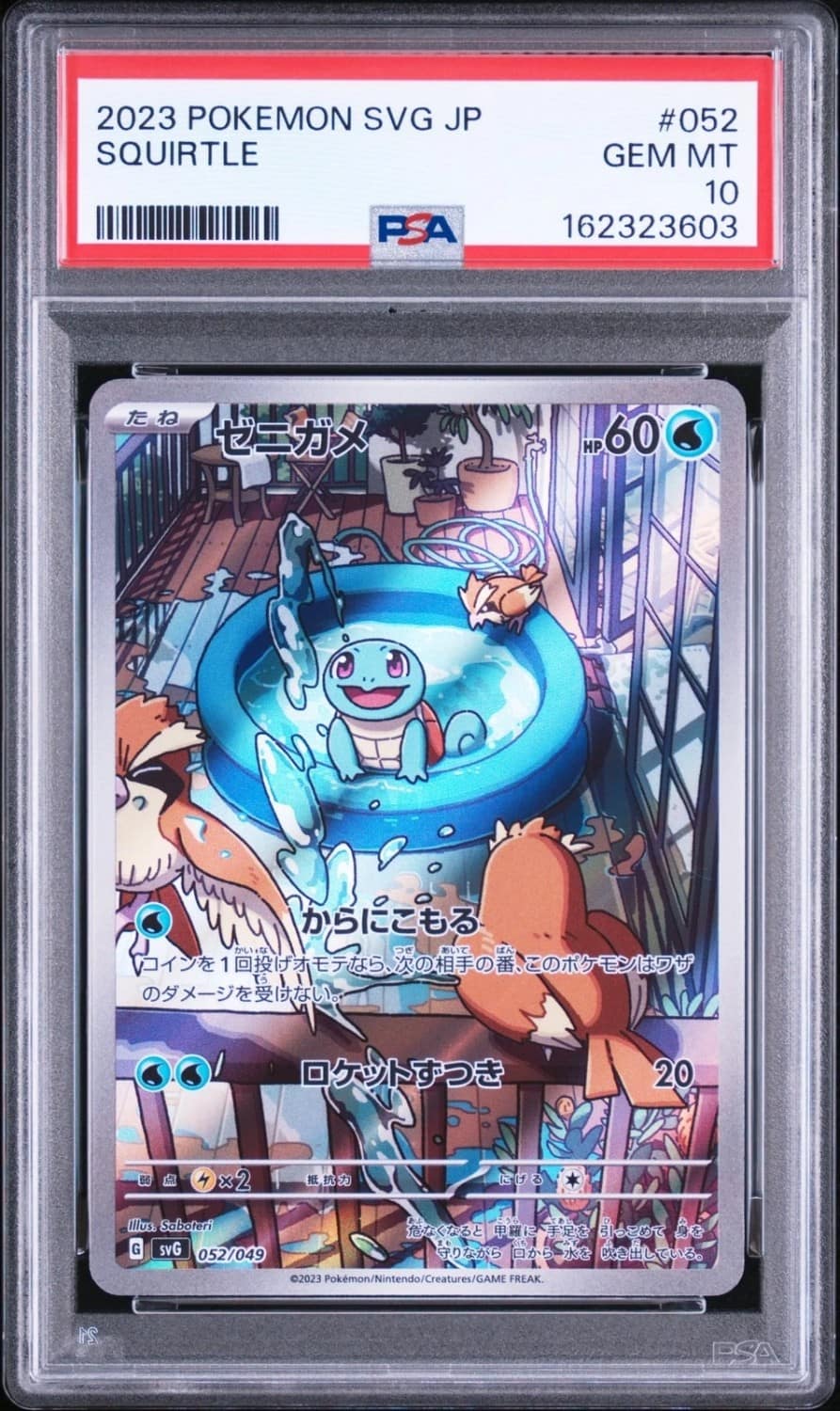 Squirtle