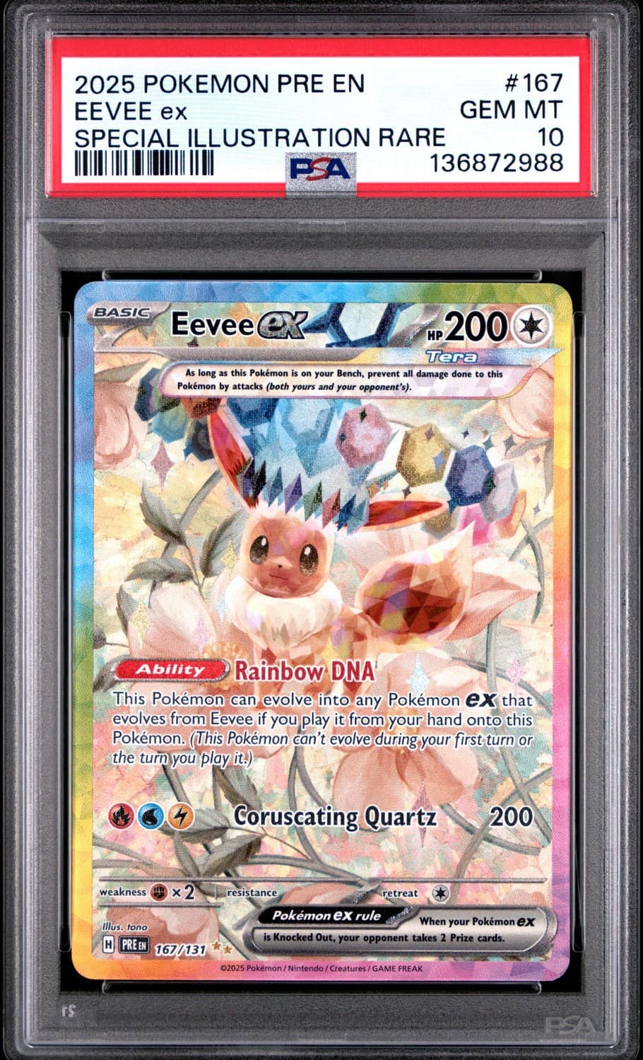 Eevee Ex