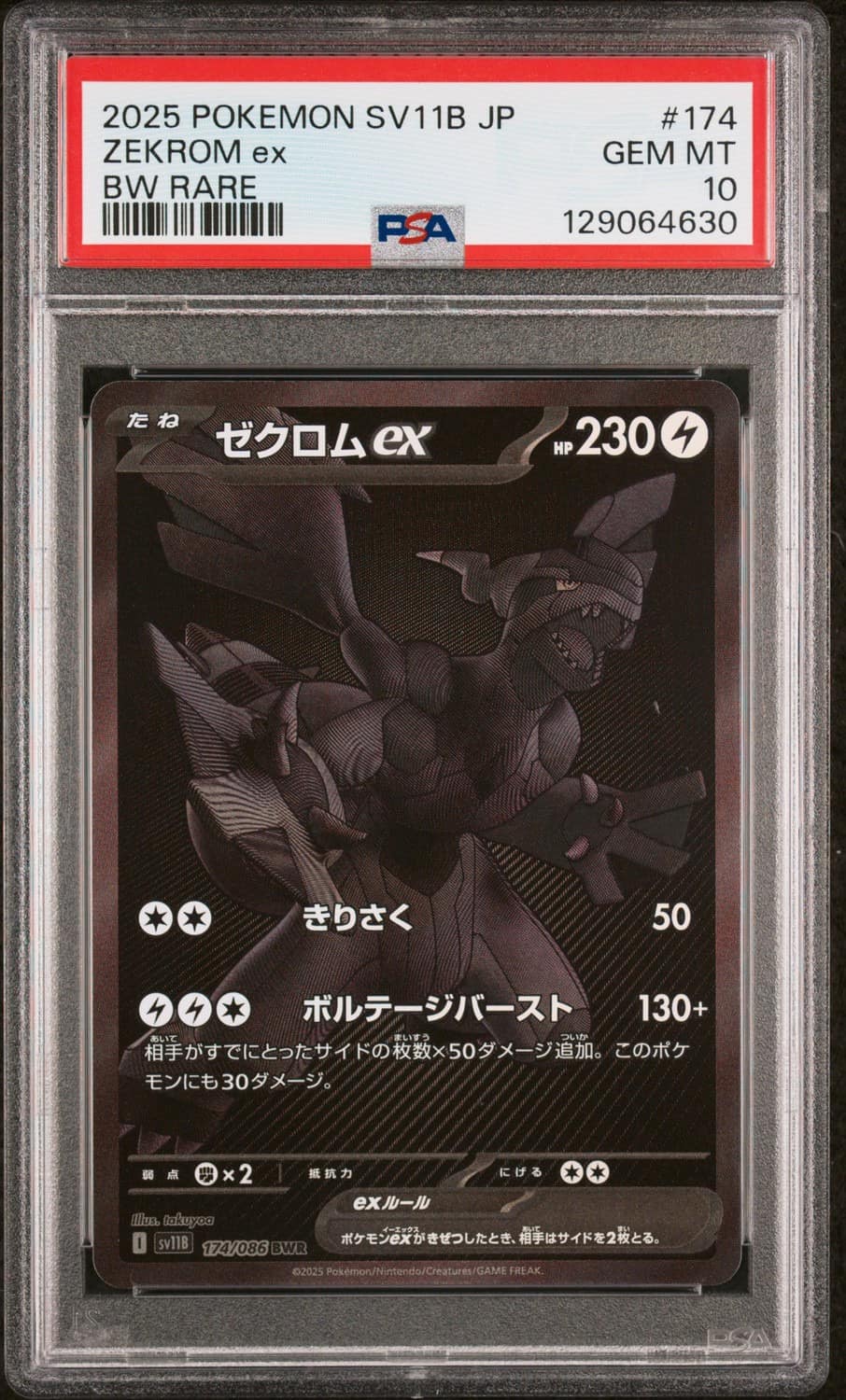 Zekrom Ex