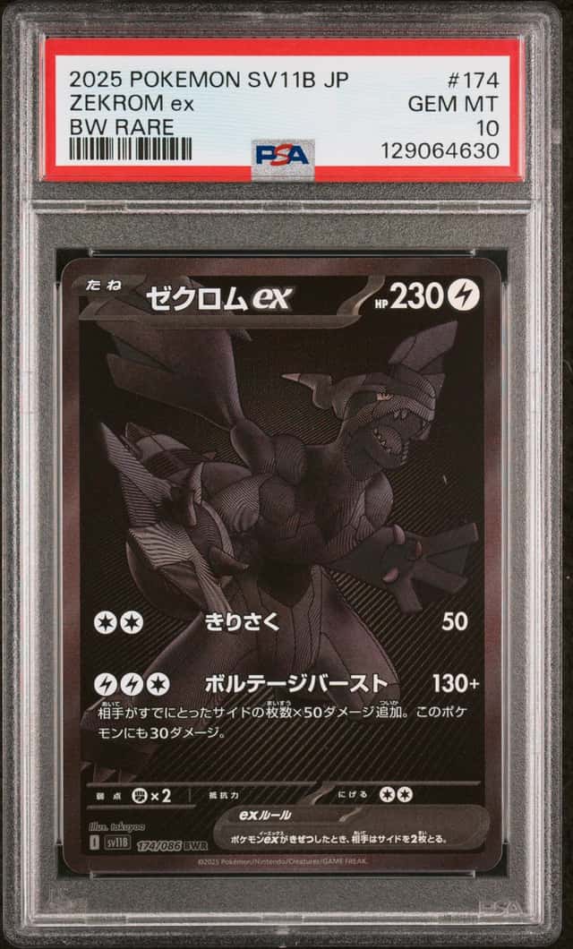 ZEKROM ex