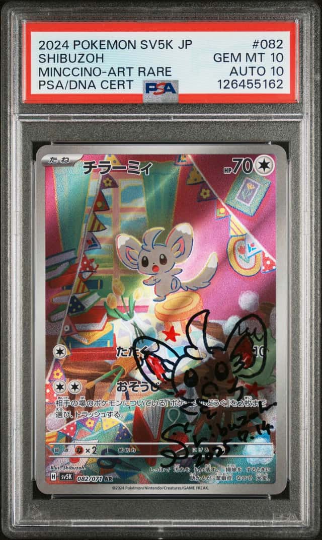 Minccino