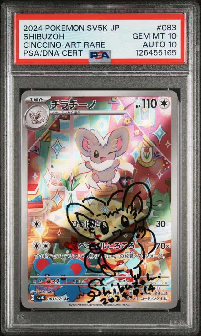 Cinccino
