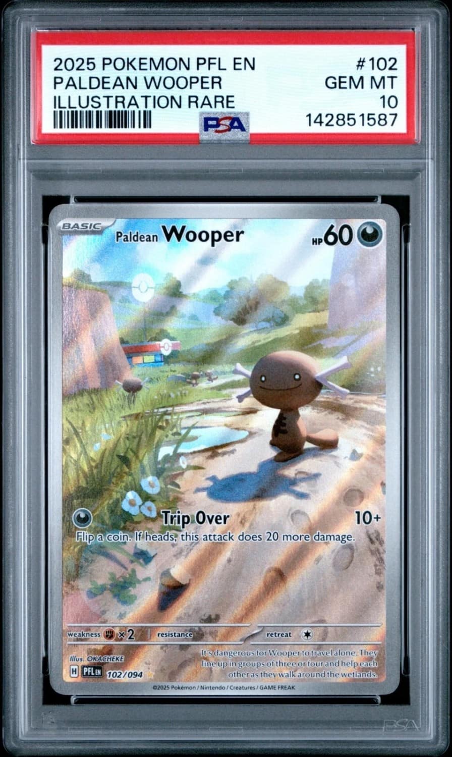 Paldean Wooper
