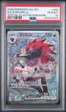N'S Zoroark Ex
