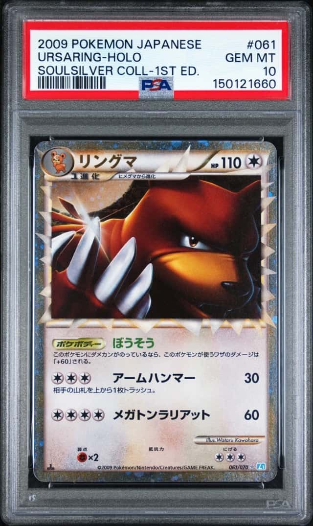 Ursaring