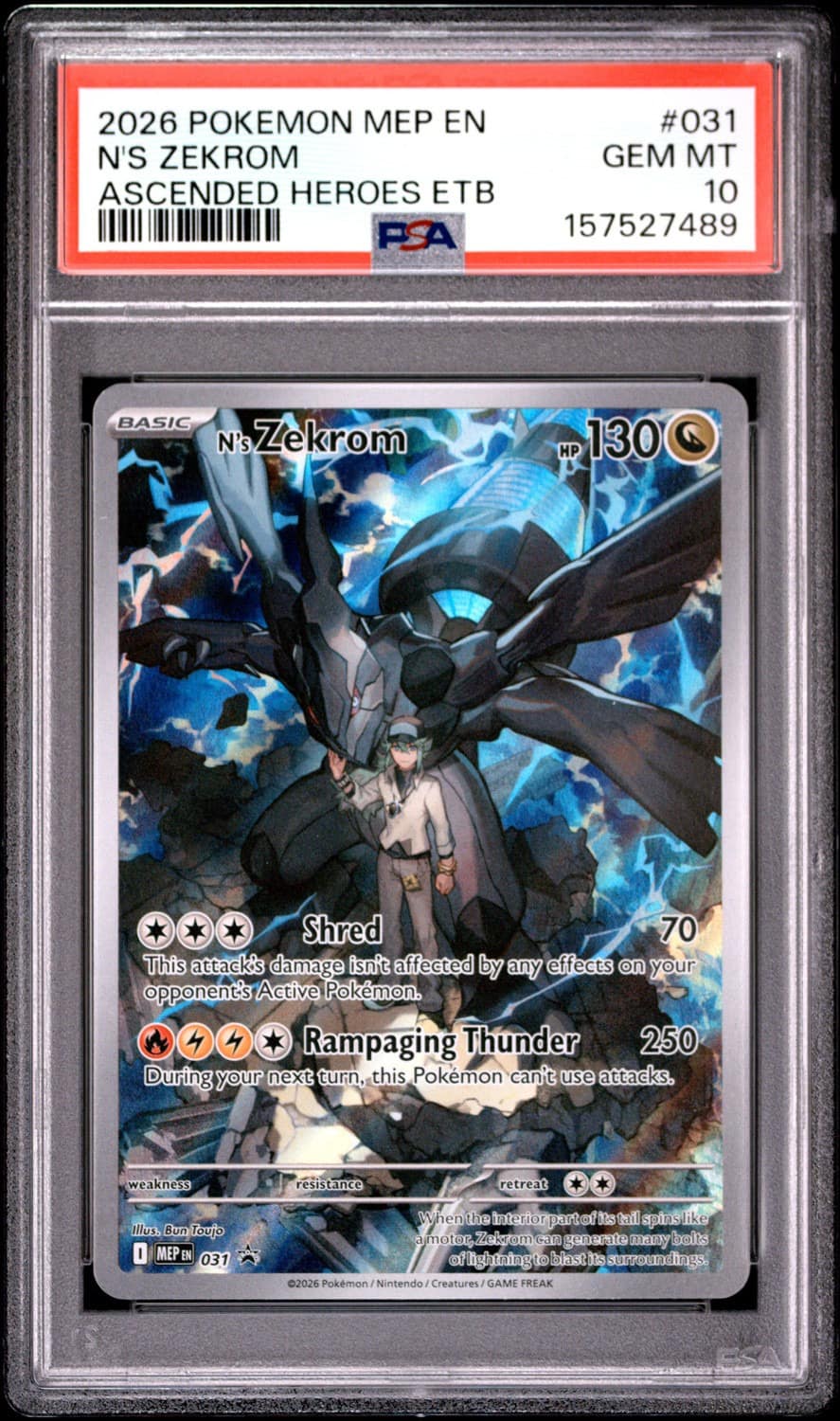 N'S Zekrom