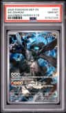 N'S Zekrom