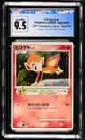 Chimchar