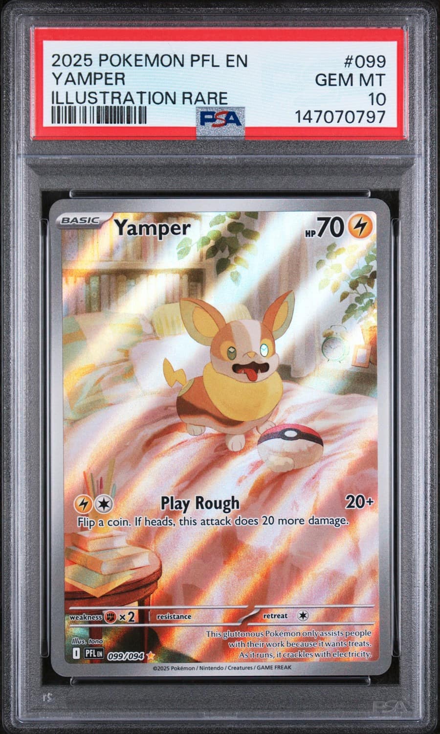 Yamper