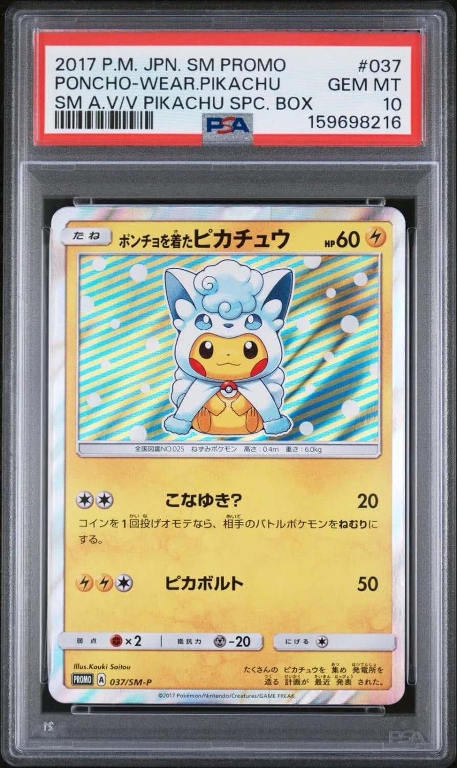 Poncho-Wearing Pikachu